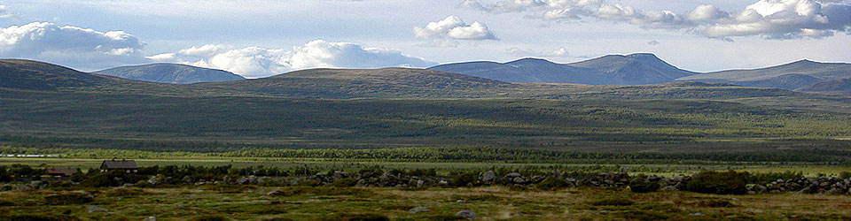 20.8.2010 / Národní park Dovrefjell-Sunndalsfjella, Norsko