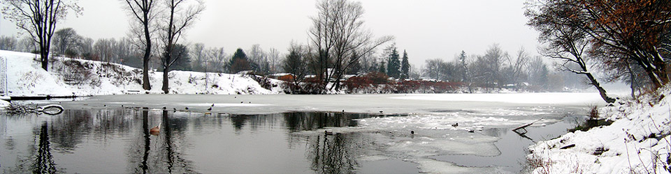 8.12.2010 / Vltava